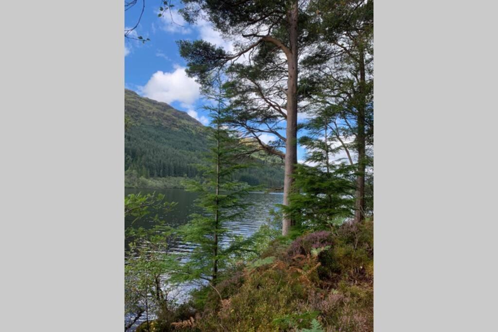 North Lodge Kilmun المظهر الخارجي الصورة