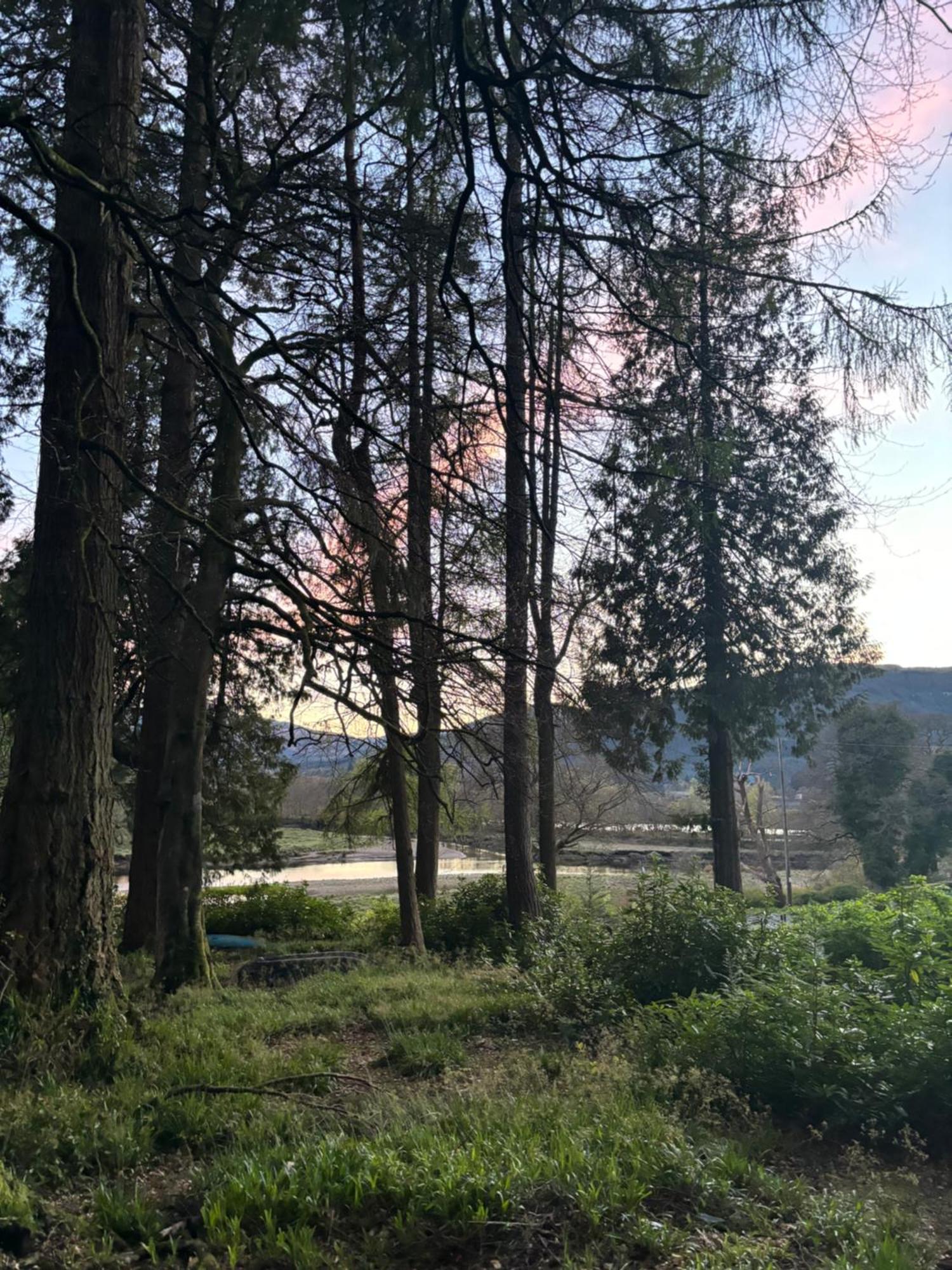 North Lodge Kilmun المظهر الخارجي الصورة