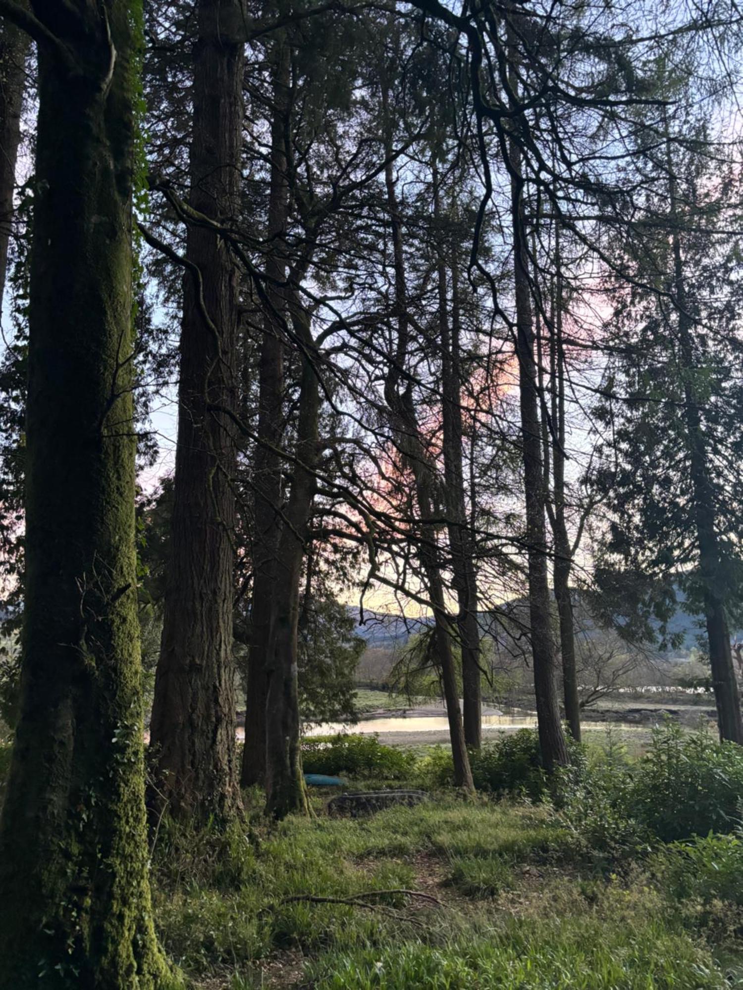 North Lodge Kilmun المظهر الخارجي الصورة